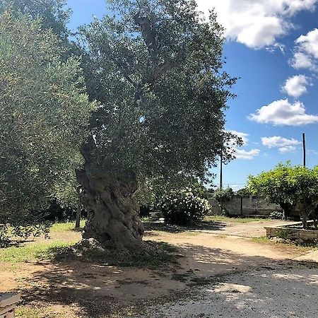Le Stanze Di Casa Polinisso Konuk evi Carovigno Dış mekan fotoğraf