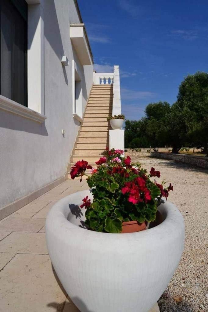 Le Stanze Di Casa Polinisso Konuk evi Carovigno Dış mekan fotoğraf