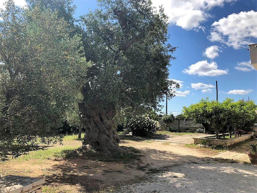 Le Stanze Di Casa Polinisso Konuk evi Carovigno Dış mekan fotoğraf