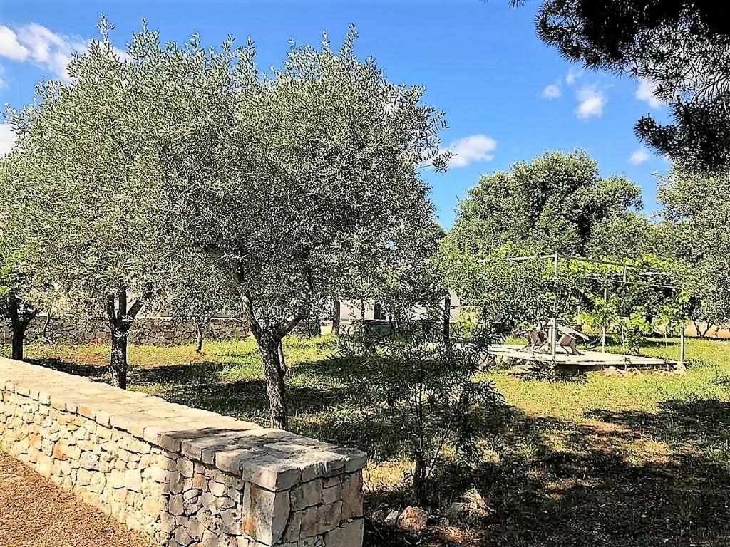 Le Stanze Di Casa Polinisso Konuk evi Carovigno Dış mekan fotoğraf