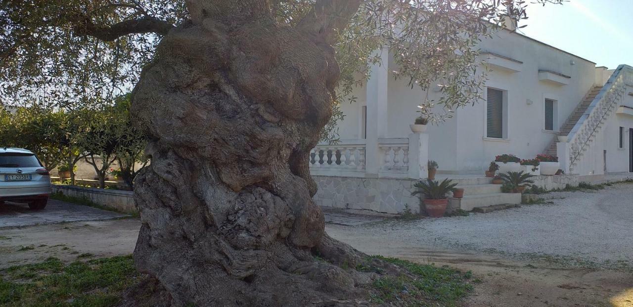 Le Stanze Di Casa Polinisso Konuk evi Carovigno Dış mekan fotoğraf